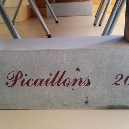 Les Picaillons - Le Chalet Les Villards-sur-Thônes 外观 照片