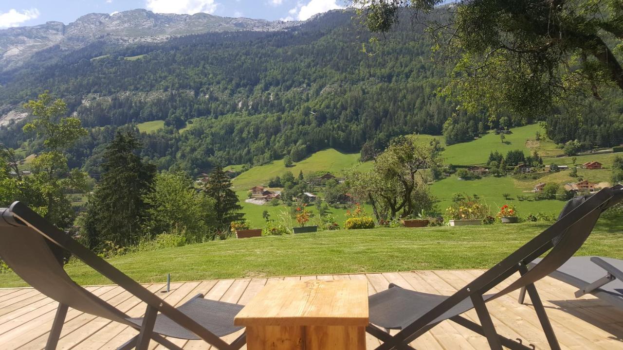 Les Picaillons - Le Chalet Les Villards-sur-Thônes 外观 照片