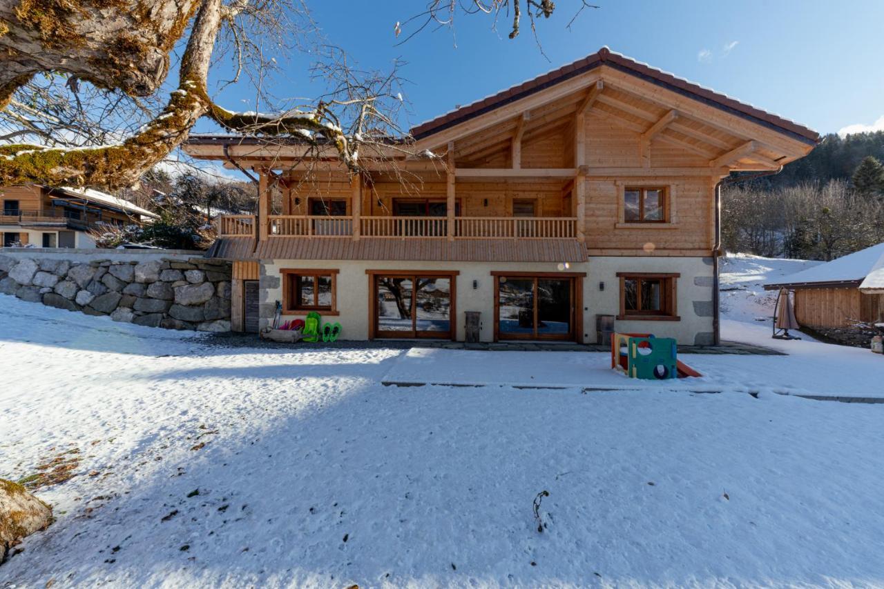Les Picaillons - Le Chalet Les Villards-sur-Thônes 外观 照片